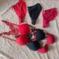 Butterfly Lace Push-Up Bra & Panty Set